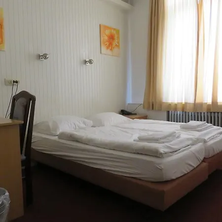 Hotel American 3*