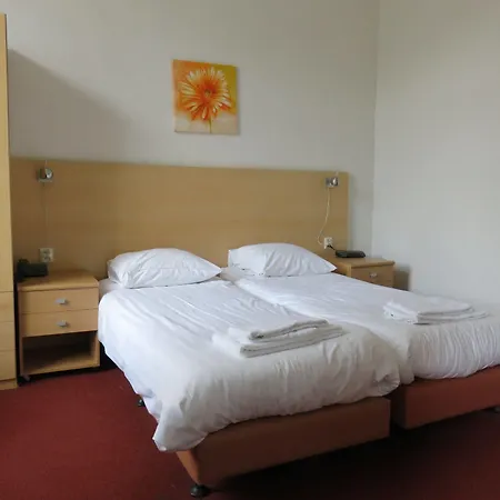 Hotel American 3*